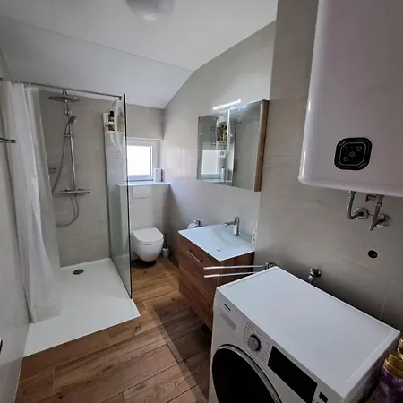 Sylvia * ツリクヴェニツァ